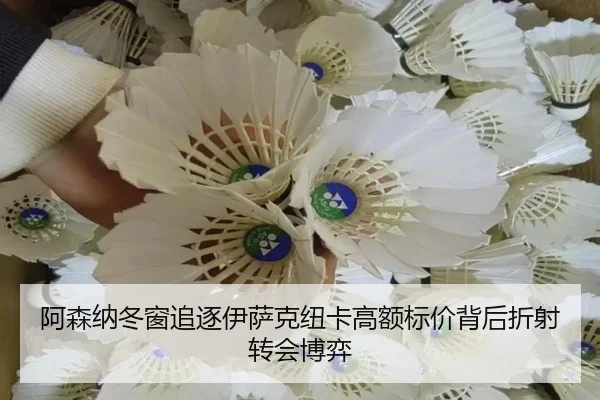 阿森纳冬窗追逐伊萨克纽卡高额标价背后折射转会博弈